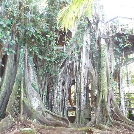 Topos Tree House Cahuita Bagian luar foto
