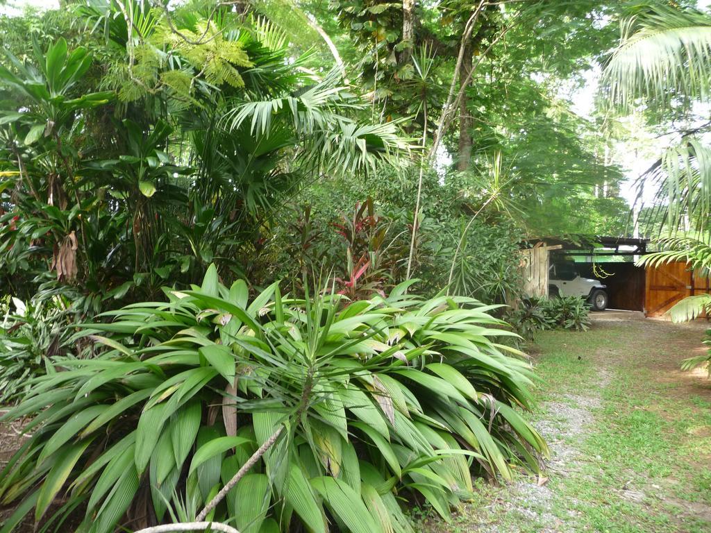 Topos Tree House Cahuita Bagian luar foto