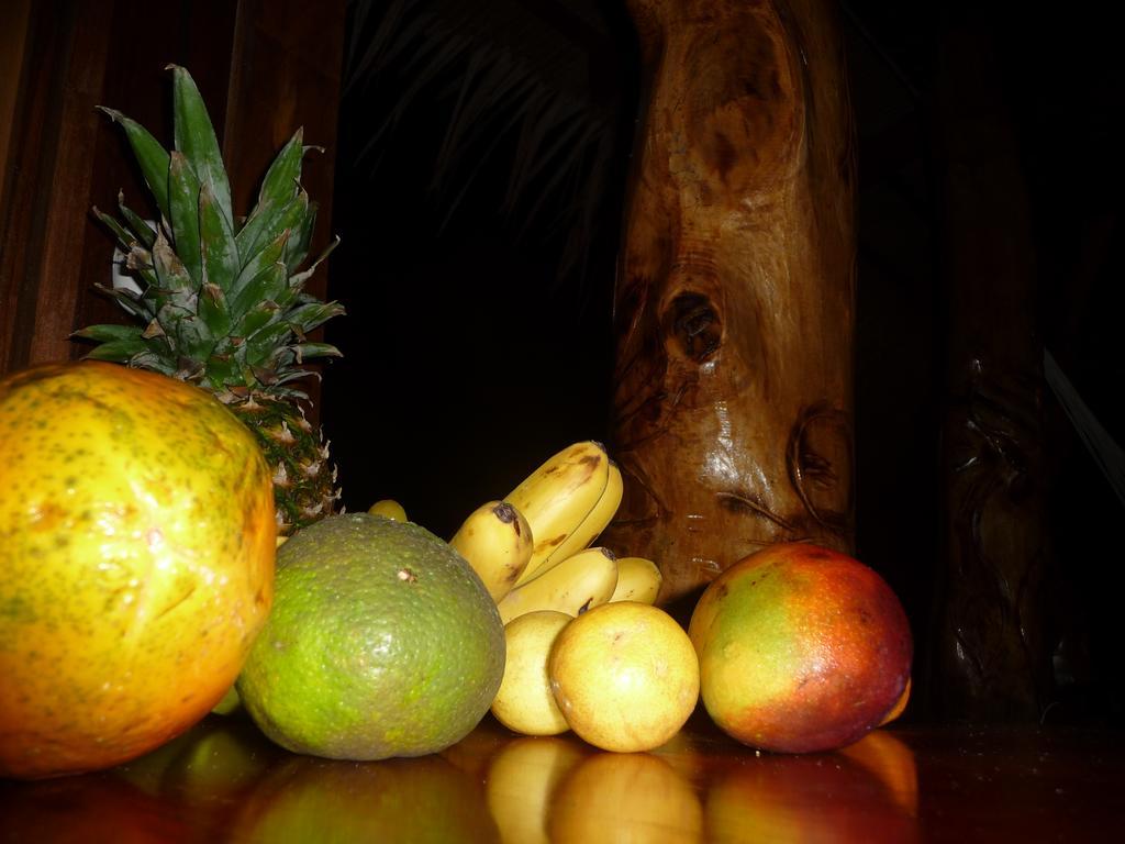 Topos Tree House Cahuita Bagian luar foto