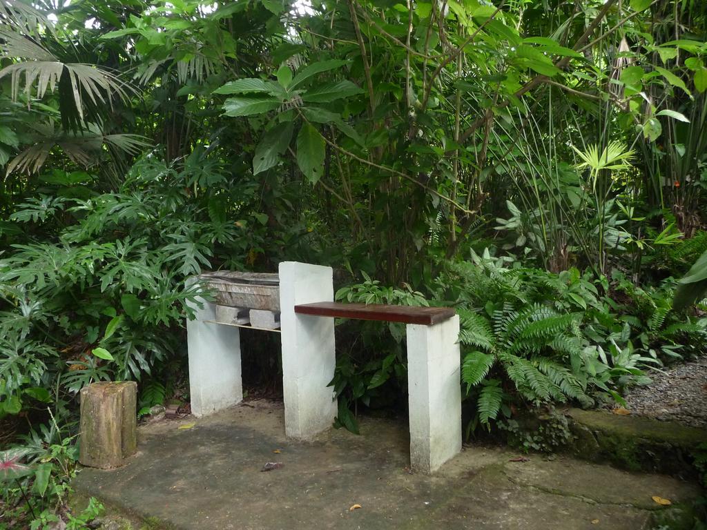 Topos Tree House Cahuita Bagian luar foto