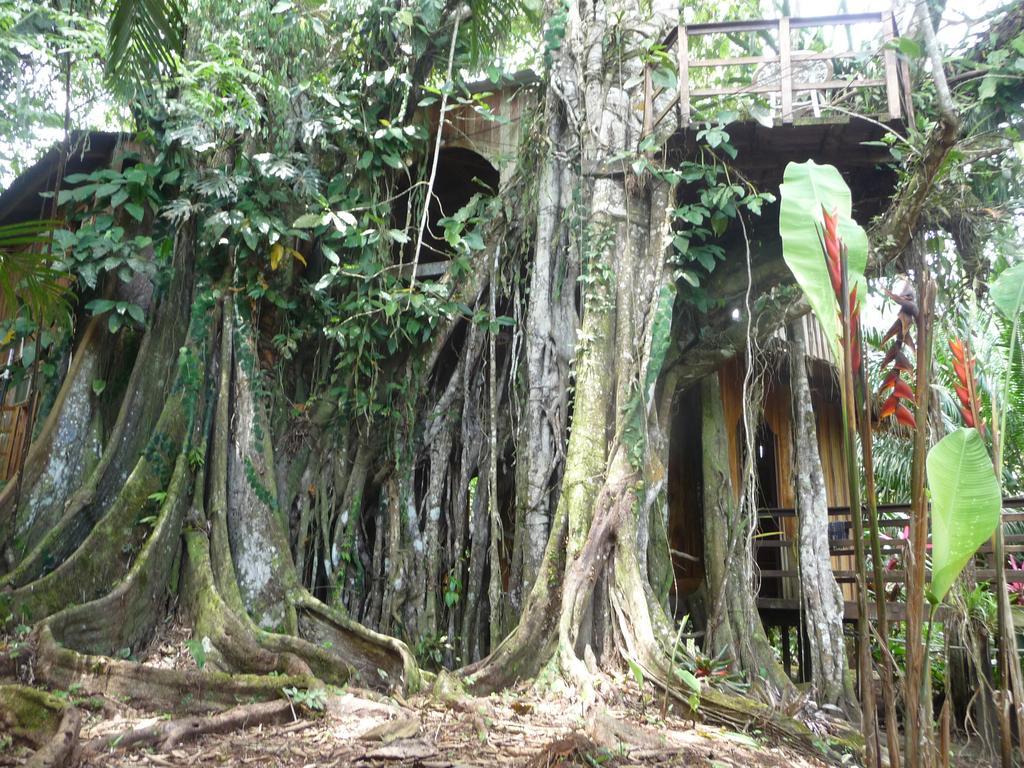 Topos Tree House Cahuita Bagian luar foto