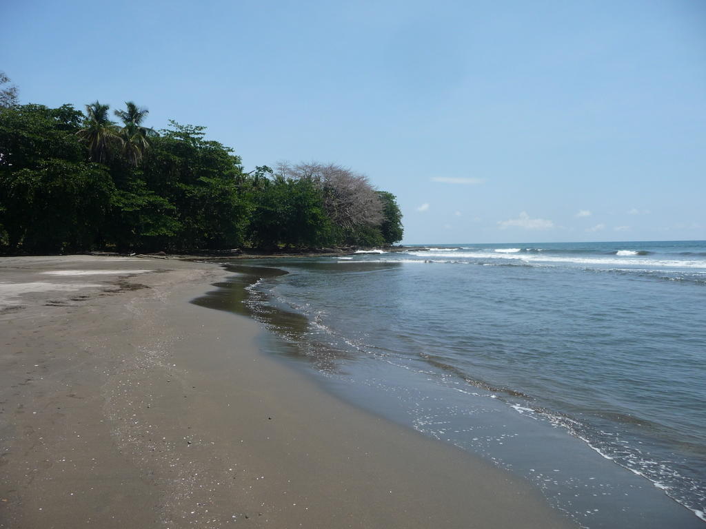 Topos Tree House Cahuita Bagian luar foto
