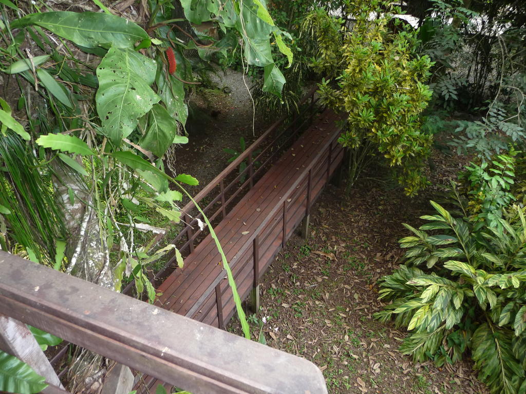 Topos Tree House Cahuita Bagian luar foto