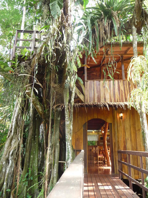 Topos Tree House Cahuita Ruang foto