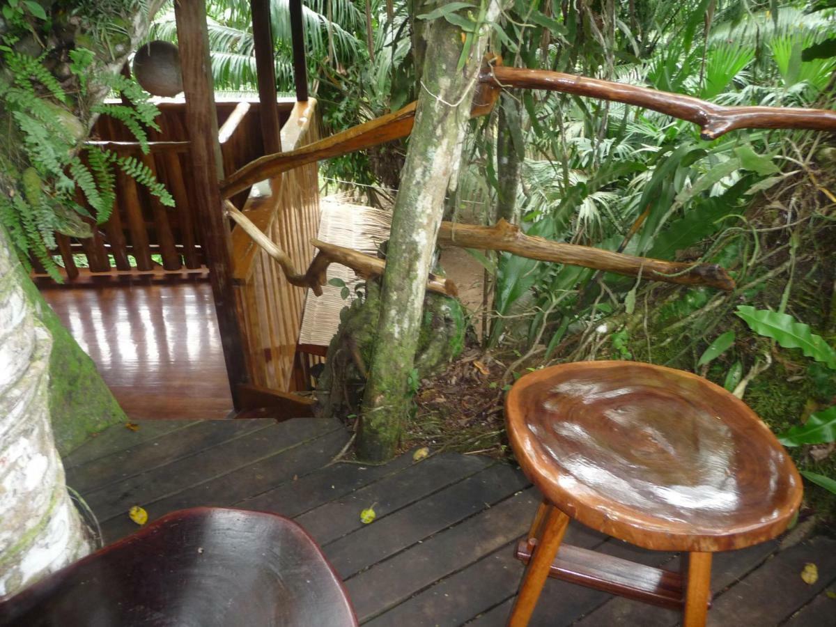 Topos Tree House Cahuita Bagian luar foto